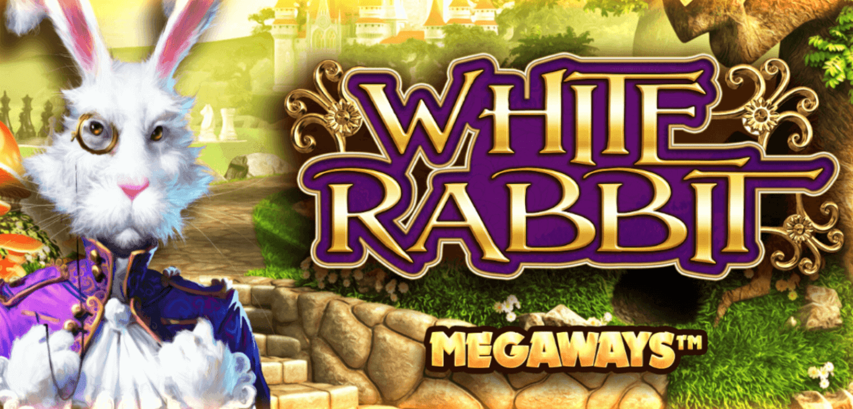 Tragamonedas que más pagan en Ecuador - White Rabbit