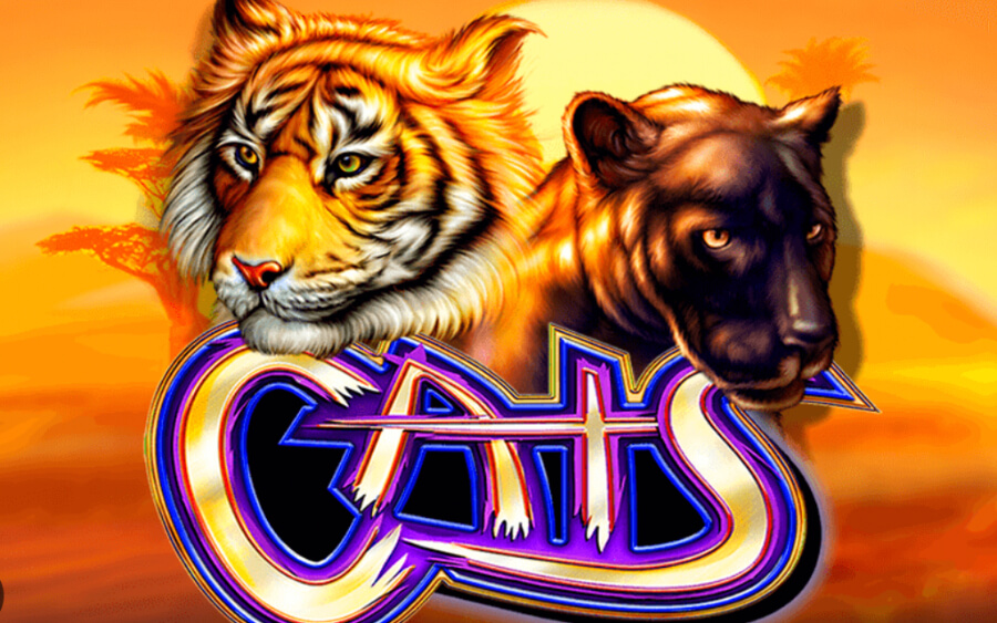 Reseña de la tragamonedas Cats - Ecuador